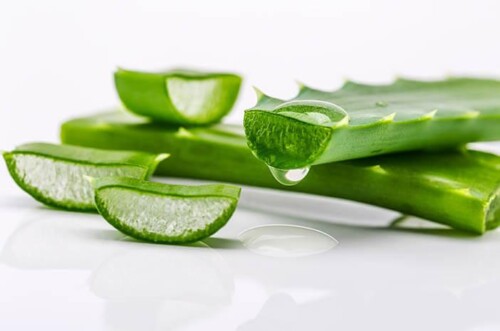 INILAH 8 MANFAAT ALOE VERA UNTUK WAJAH 1 manfaat aloe vera untuk wajah