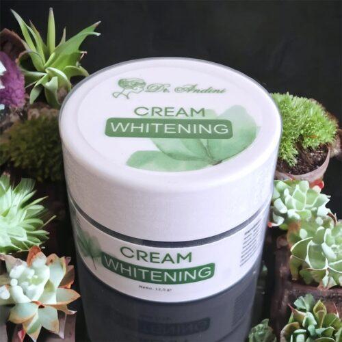 whitening cream dr andini
