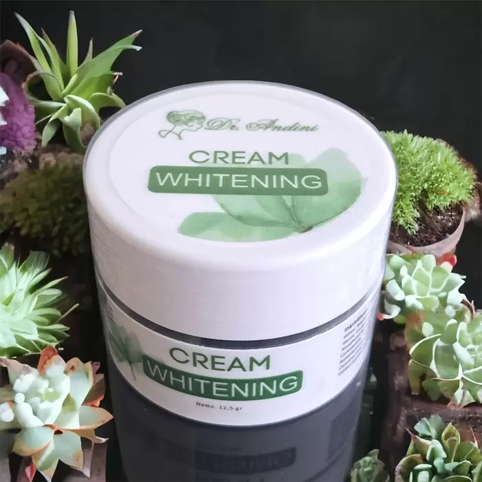 CREAM DR ANDINI ORIGINAL WHITENING CREAM MALAM 6 whitening cream dr andini